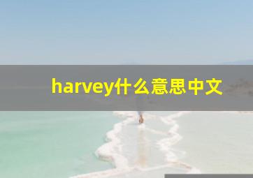 harvey什么意思中文