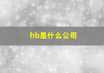 hb是什么公司