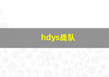 hdys战队