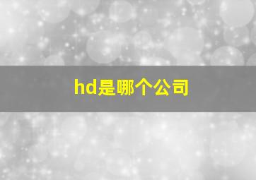 hd是哪个公司