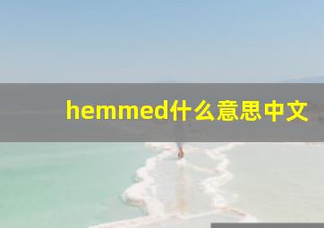 hemmed什么意思中文