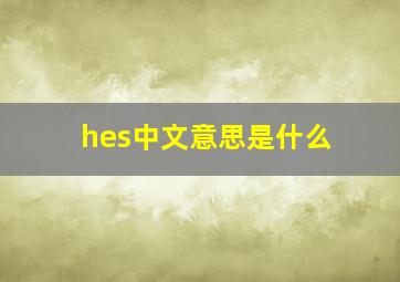 hes中文意思是什么