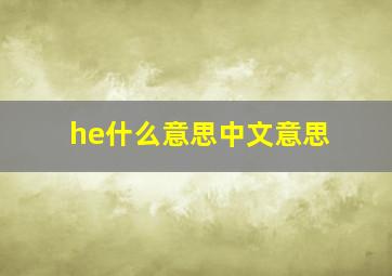 he什么意思中文意思