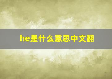 he是什么意思中文翻