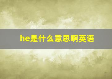 he是什么意思啊英语