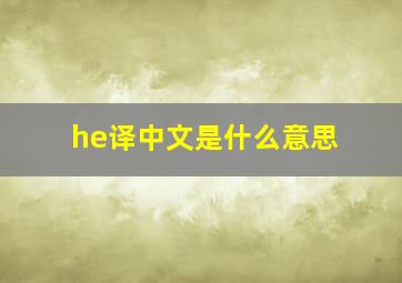 he译中文是什么意思