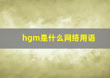 hgm是什么网络用语