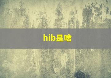 hib是啥