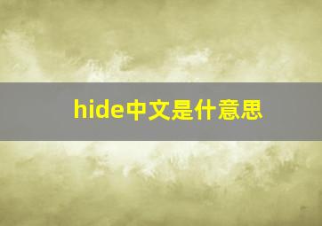 hide中文是什意思