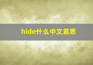 hide什么中文意思