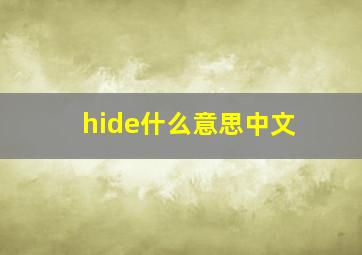 hide什么意思中文