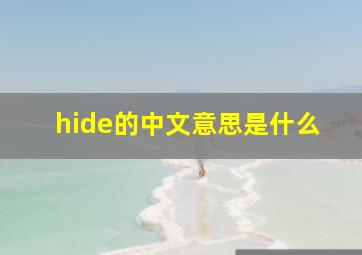 hide的中文意思是什么