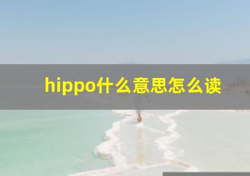 hippo什么意思怎么读