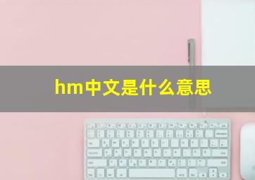 hm中文是什么意思