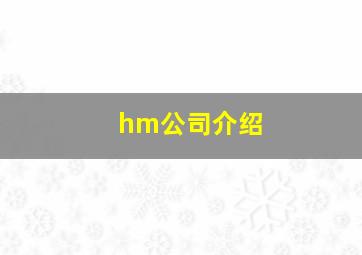 hm公司介绍