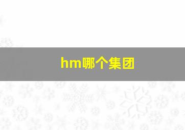 hm哪个集团