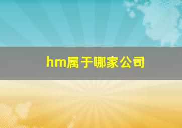 hm属于哪家公司