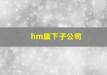 hm旗下子公司