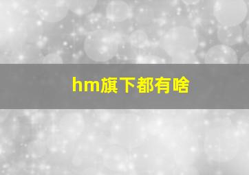 hm旗下都有啥