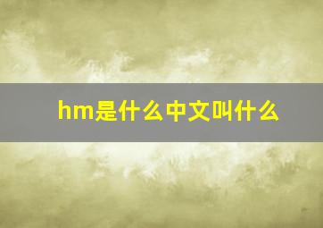 hm是什么中文叫什么