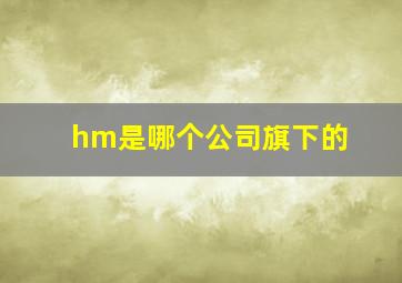 hm是哪个公司旗下的