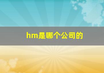 hm是哪个公司的