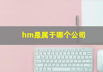 hm是属于哪个公司