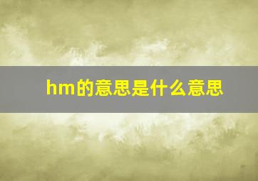 hm的意思是什么意思