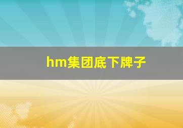 hm集团底下牌子