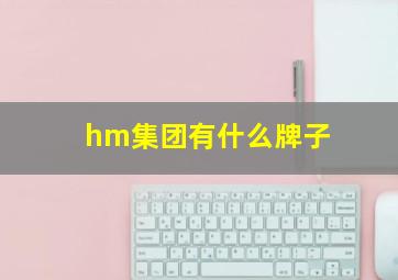 hm集团有什么牌子