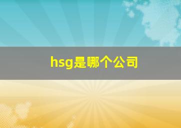 hsg是哪个公司