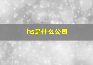 hs是什么公司