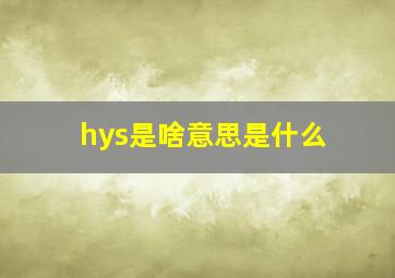 hys是啥意思是什么