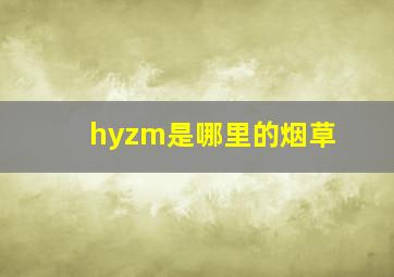 hyzm是哪里的烟草