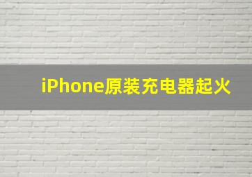 iPhone原装充电器起火