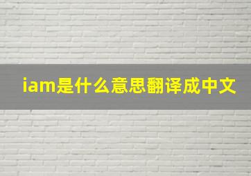 iam是什么意思翻译成中文