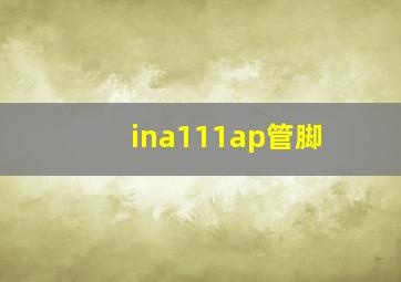 ina111ap管脚