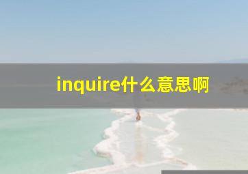 inquire什么意思啊