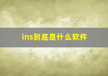 ins到底是什么软件