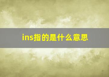 ins指的是什么意思