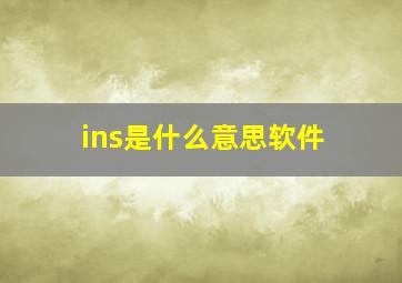 ins是什么意思软件