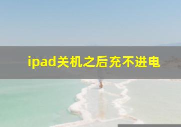 ipad关机之后充不进电