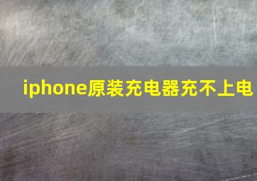 iphone原装充电器充不上电