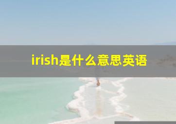 irish是什么意思英语