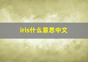 iris什么意思中文