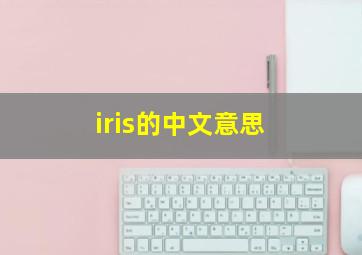 iris的中文意思