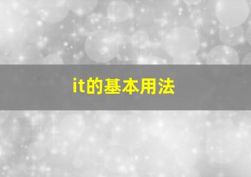 it的基本用法