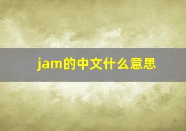 jam的中文什么意思