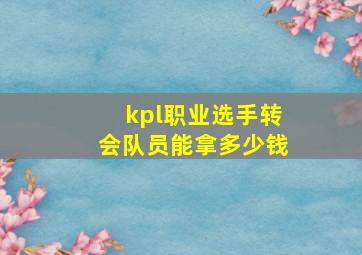 kpl职业选手转会队员能拿多少钱