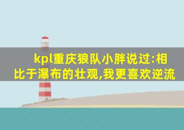 kpl重庆狼队小胖说过:相比于瀑布的壮观,我更喜欢逆流